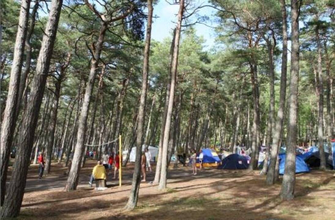 Stovyklos „Žuvėdra“ teritorijoje išdygs privačių namų kvartalas