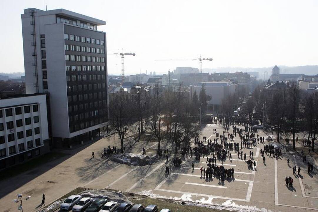 Vienybės aikštėje pražydo trispalvis žiedas