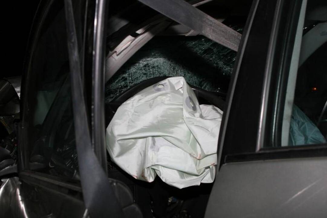 Avarijoje žuvo Seimo narys Juozas Palionis