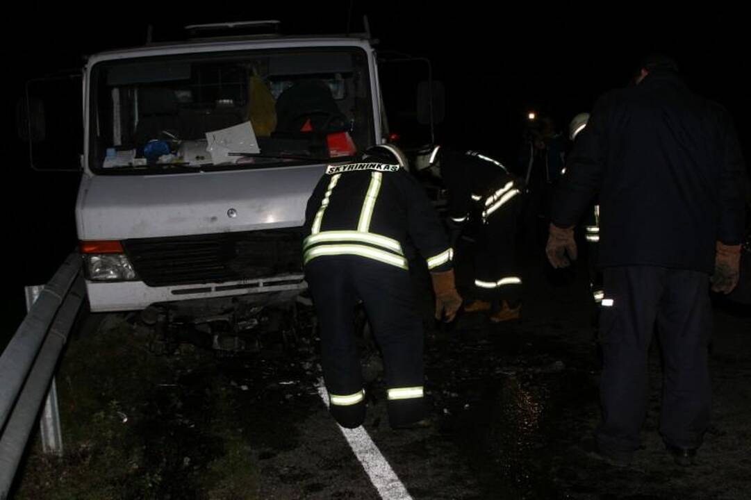 Avarijoje žuvo Seimo narys Juozas Palionis