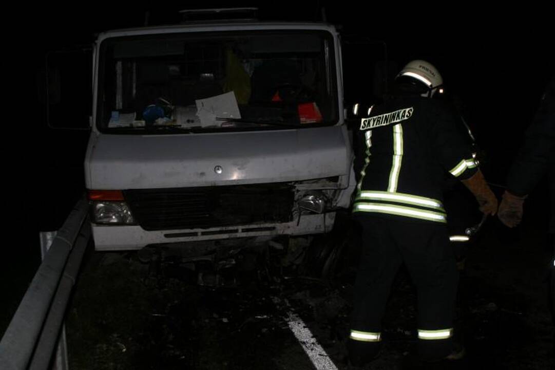 Avarijoje žuvo Seimo narys Juozas Palionis