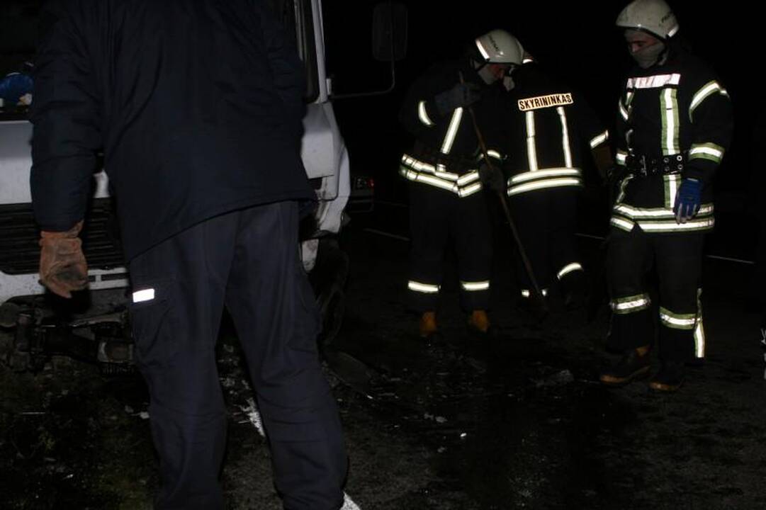 Avarijoje žuvo Seimo narys Juozas Palionis