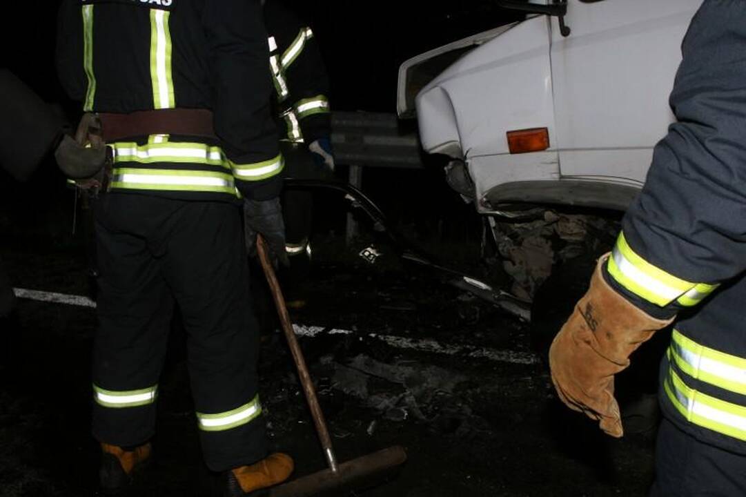 Avarijoje žuvo Seimo narys Juozas Palionis