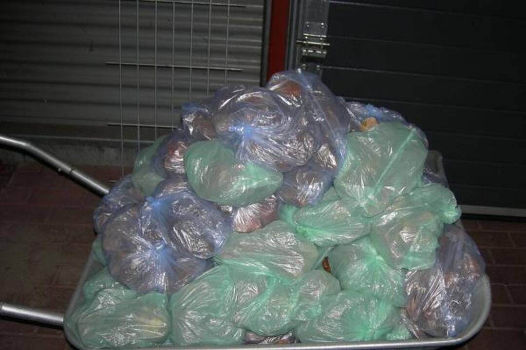 Rusas vežė 60 kg kontrabandinio gintaro 