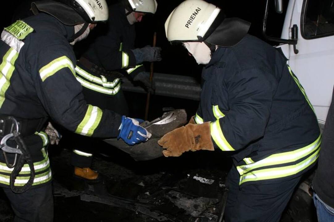 Avarijoje žuvo Seimo narys Juozas Palionis