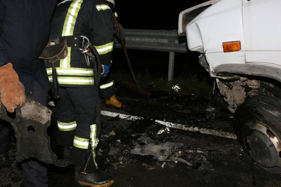 Avarijoje žuvo Seimo narys Juozas Palionis