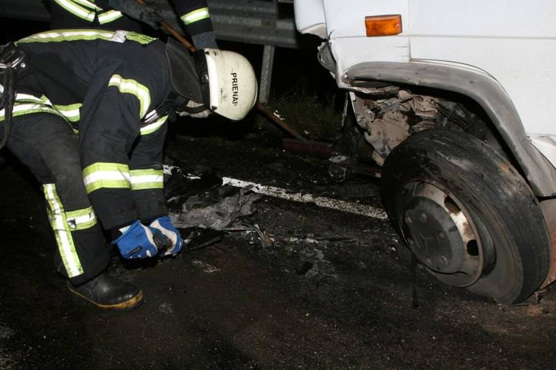 Avarijoje žuvo Seimo narys Juozas Palionis