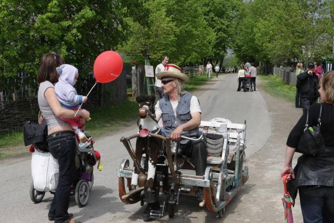 Į festivalį Rumšiškėse - su šeima, bet be gėrimų!