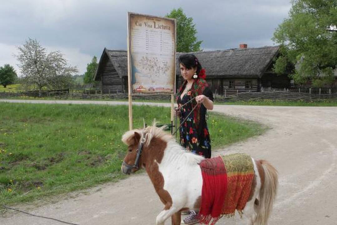 Į festivalį Rumšiškėse - su šeima, bet be gėrimų!