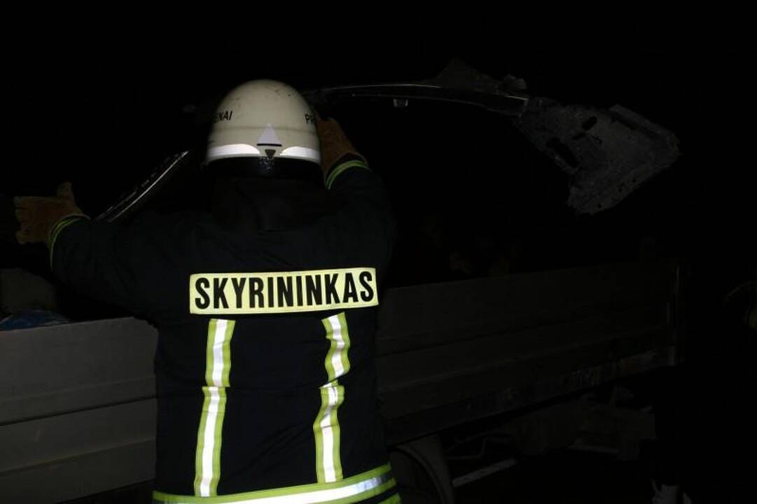 Avarijoje žuvo Seimo narys Juozas Palionis