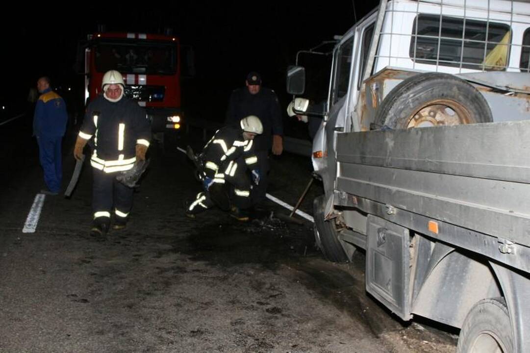Avarijoje žuvo Seimo narys Juozas Palionis
