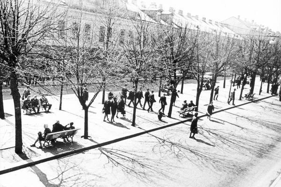 Laisvės alėjos vitrinų klyksmas - „Išnuomojama“!