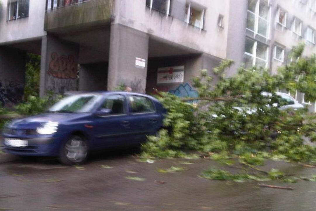 Elektros dar neturi apie 3 tūkst. vartotojų (dar atnaujinta)
