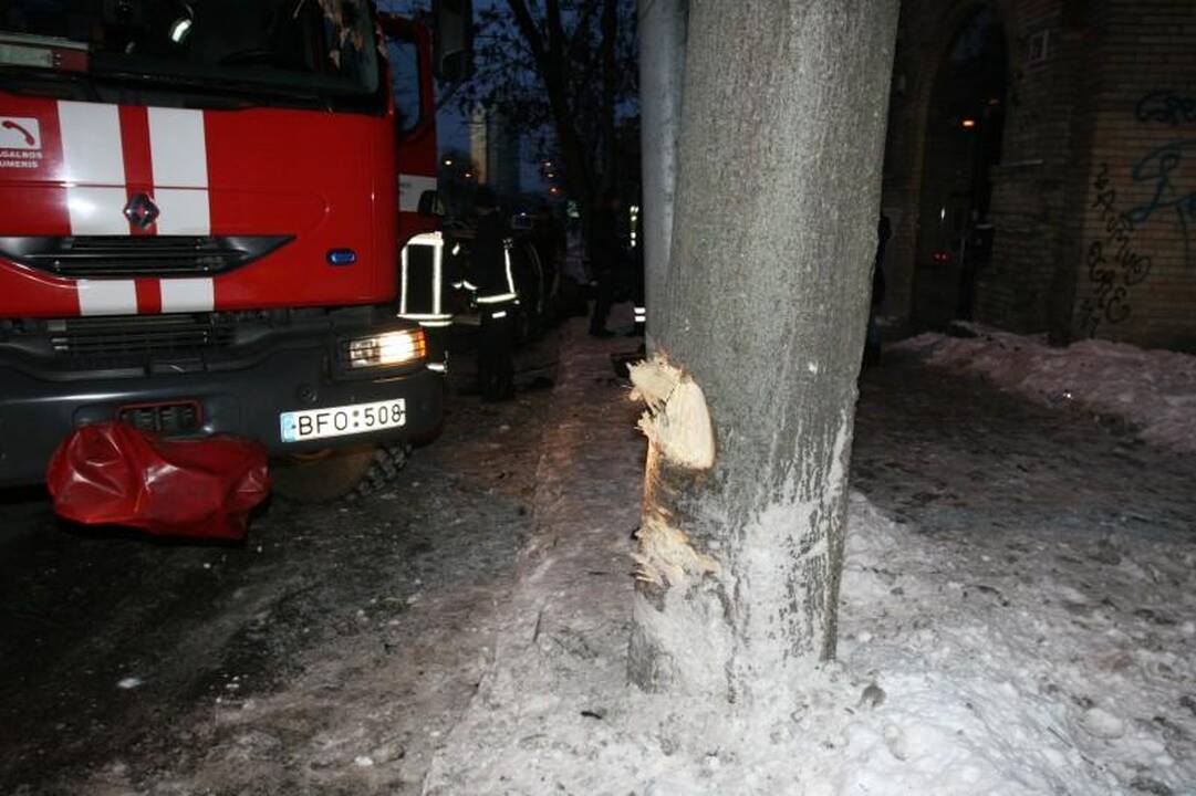 Sprukdami nuo policijos jaunuoliai Vilniaus centre atsitrenkė į medį 