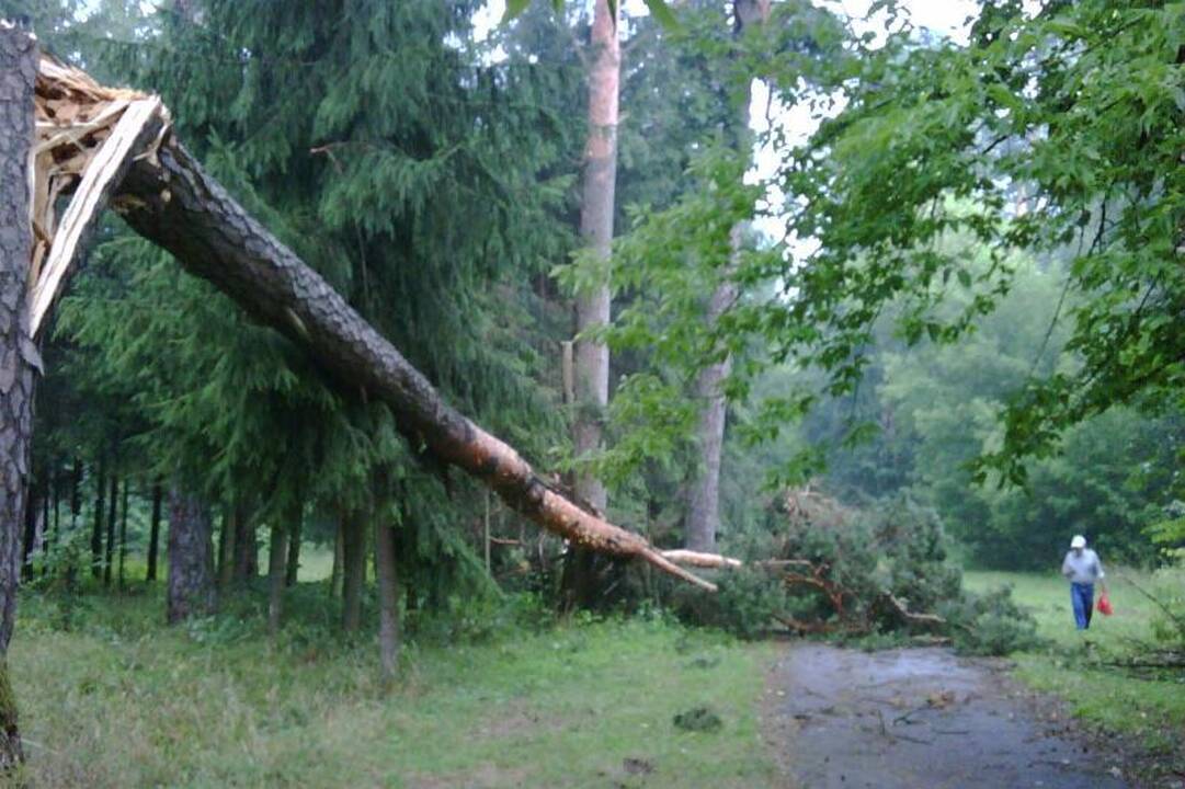 Elektros dar neturi apie 3 tūkst. vartotojų (dar atnaujinta)