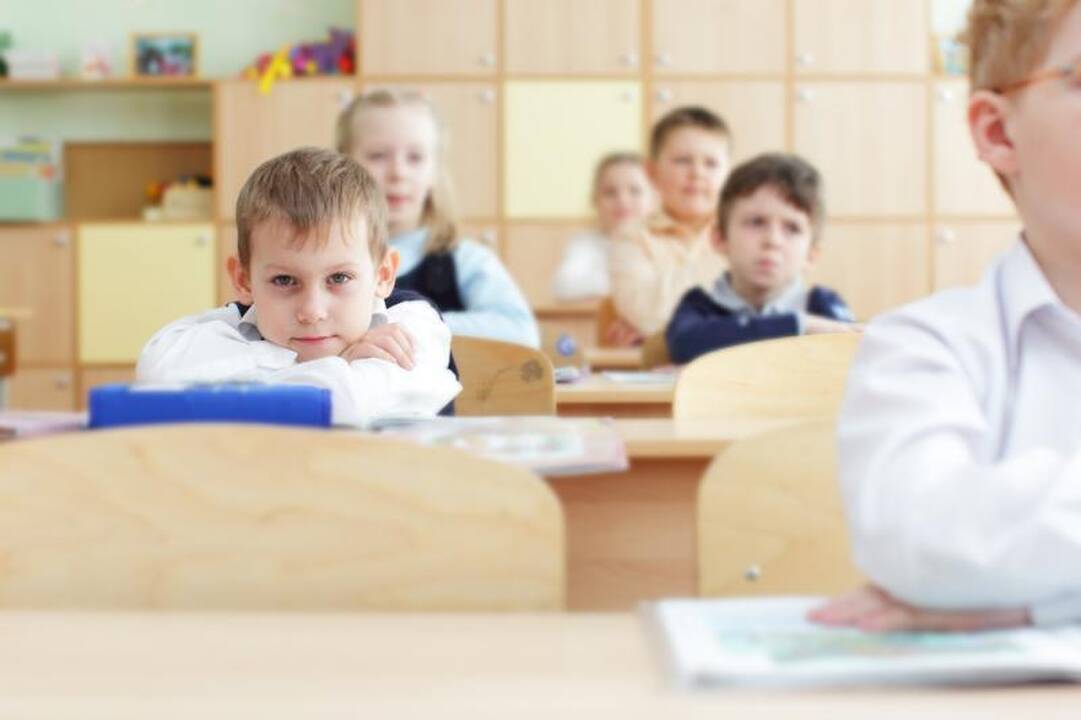 Punskas: vaikų lietuviškose mokyklose kasmet mažėja