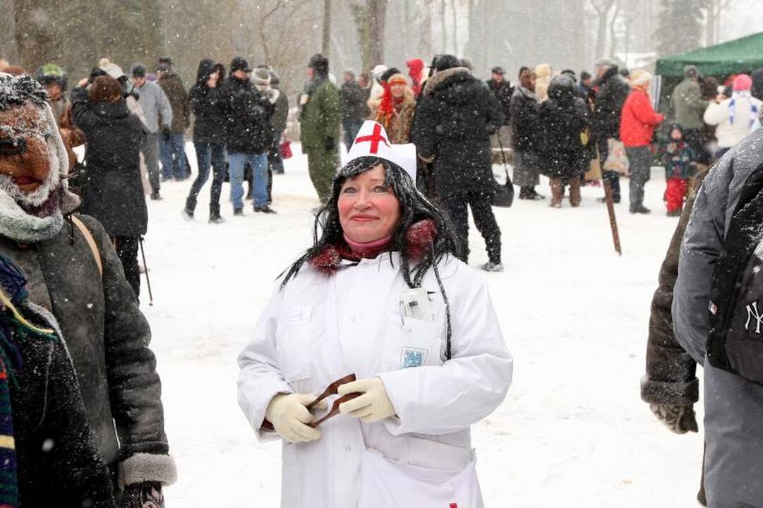 Pūga nenuslopino noro     išvyti žiemą   