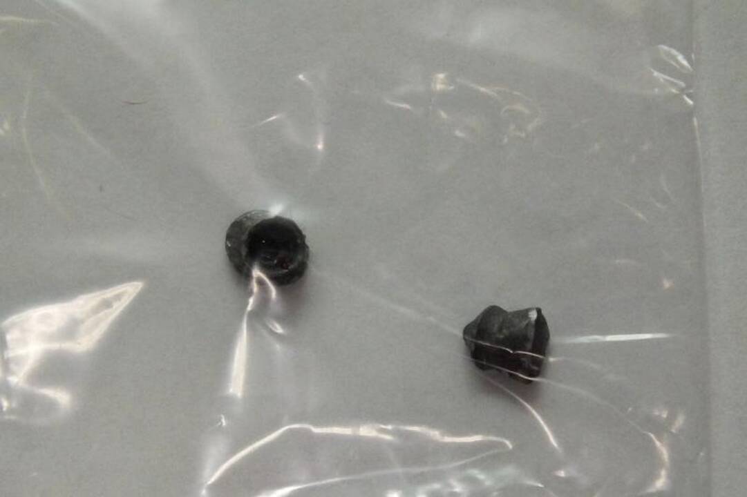 Sužvėrėjusio skraudiko apšaudytas katinas per stebuklą liko gyvas