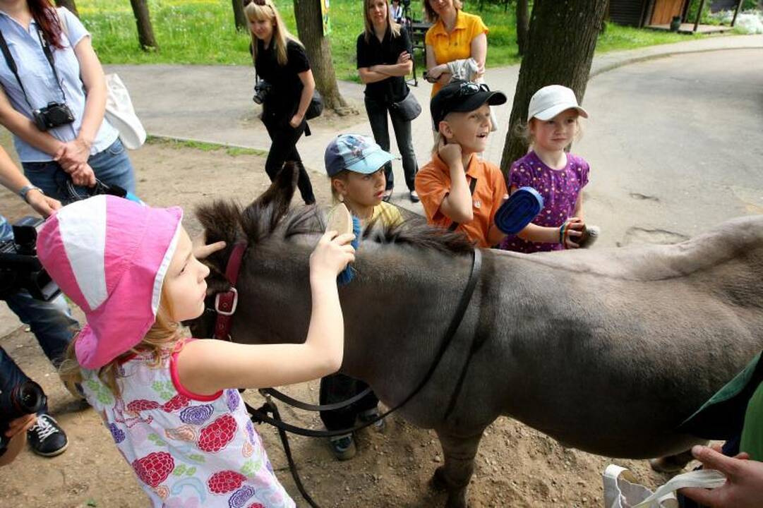 Zoologijos sode – pažintis su gyvūnų prižiūrėtojų kasdienybe