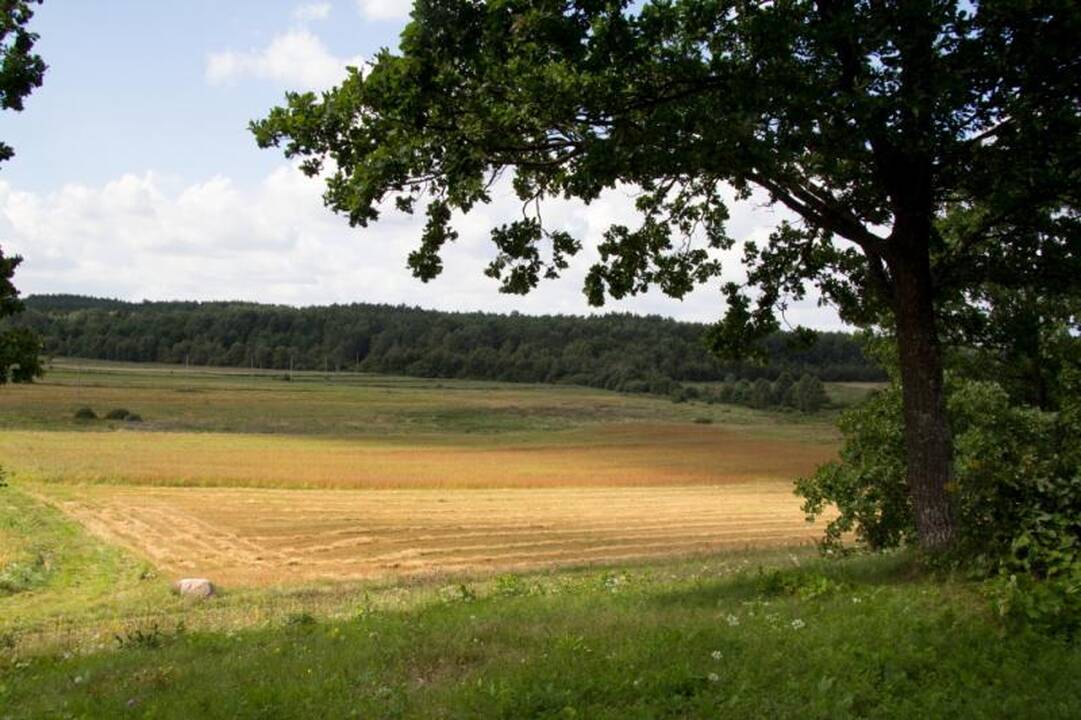 Kelionė Dieveniškių istoriniu regioniniu parku