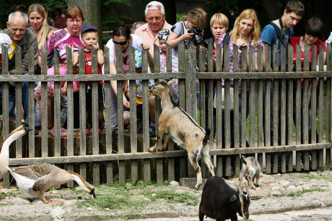Zoologijos sode – pažintis su gyvūnų prižiūrėtojų kasdienybe