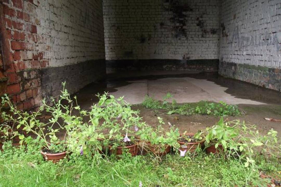 D.Kedžio artimieji mano radę daugiau įrodymų, jog vyras buvo slepiamas netoli Kauno marių