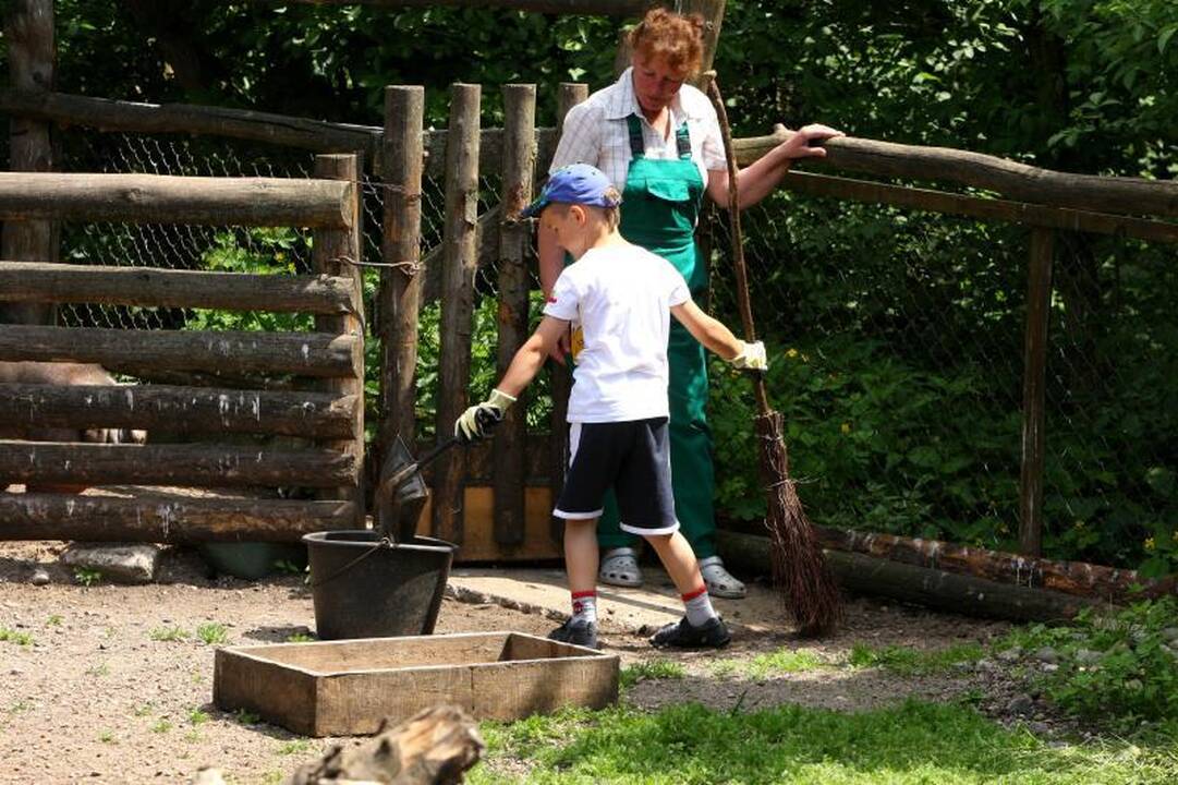 Zoologijos sode – pažintis su gyvūnų prižiūrėtojų kasdienybe