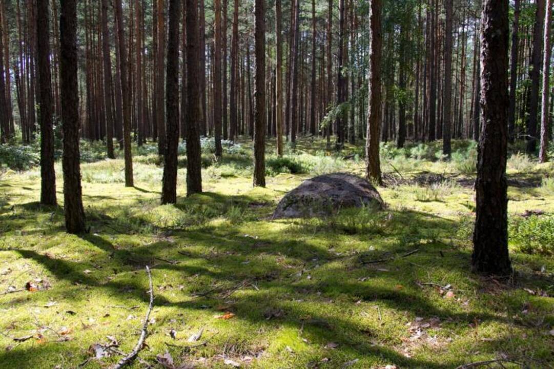 Kelionė Dieveniškių istoriniu regioniniu parku