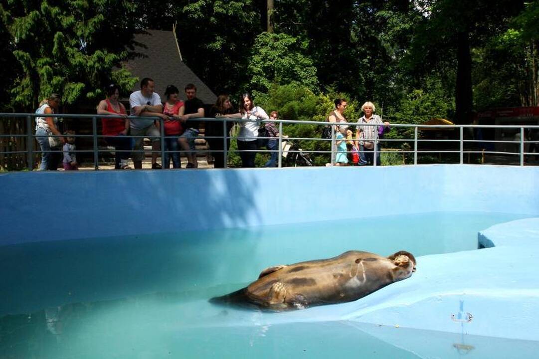 Zoologijos sode – pažintis su gyvūnų prižiūrėtojų kasdienybe