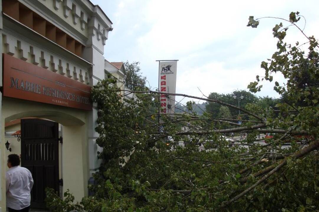 Elektros dar neturi apie 3 tūkst. vartotojų (dar atnaujinta)