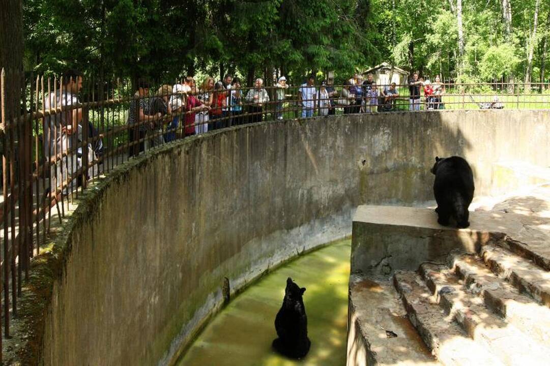 Zoologijos sode – pažintis su gyvūnų prižiūrėtojų kasdienybe