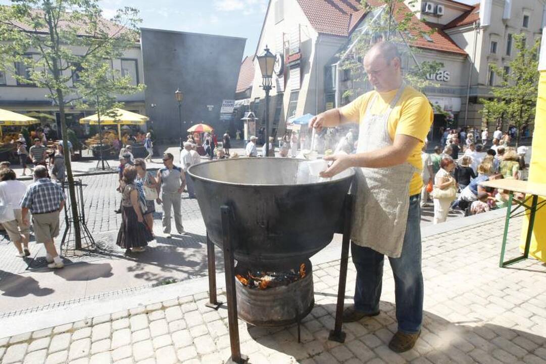Kelionė Dieveniškių istoriniu regioniniu parku