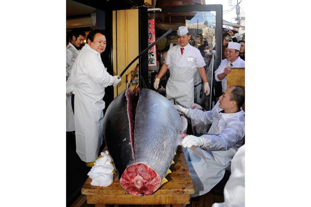 Japonijos aukcione vienas tunas parduotas už 736 tūkst. JAV dolerių
