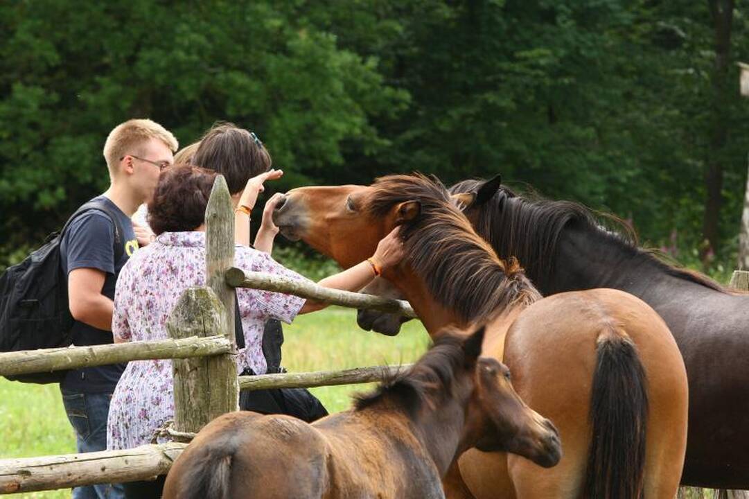 Rumšiškėse – festivalis besidomintiems savo šaknimis 