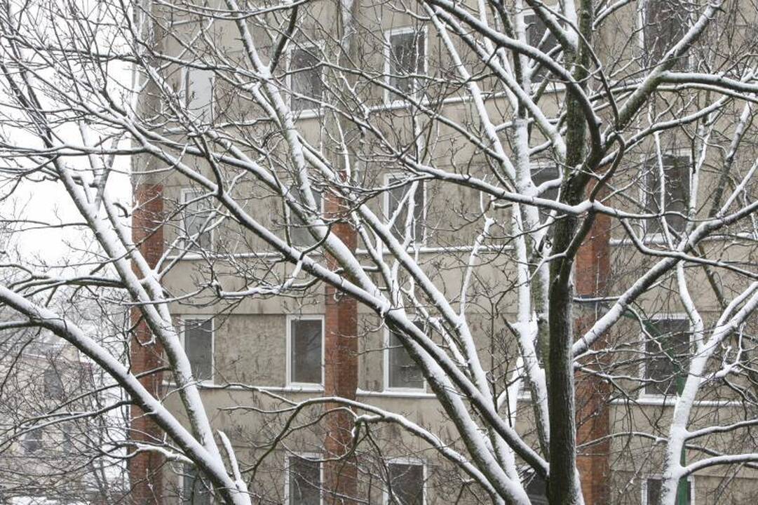 Velykų rytą Klaipėdoje gausiai prisnigo 