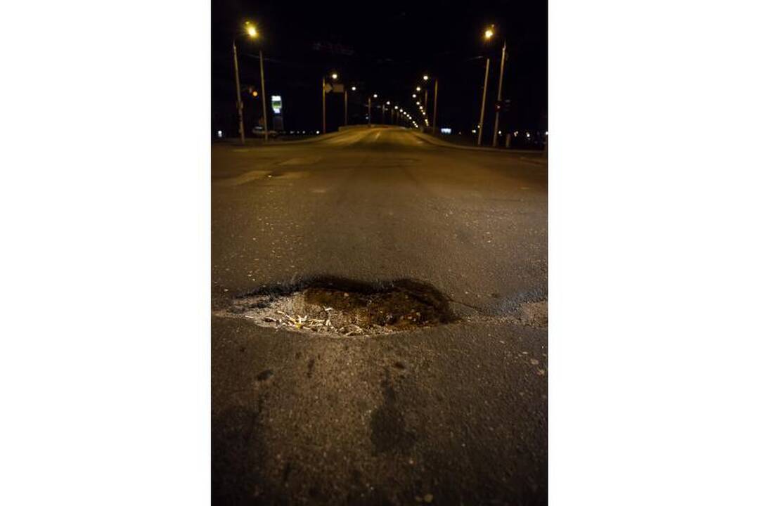 Kauno gatvių duobėse   pražydo pienės   