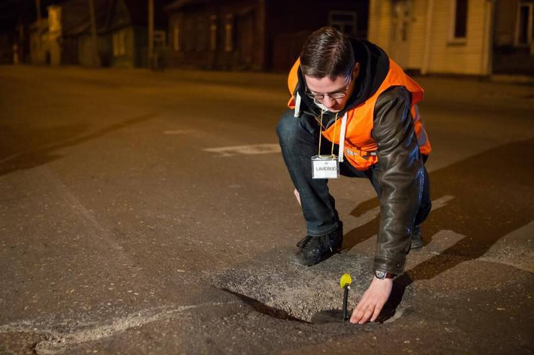 Kauno gatvių duobėse   pražydo pienės   