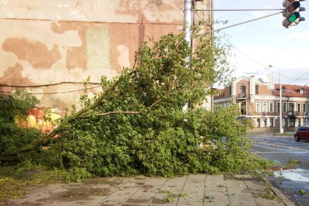 Sekmadienio naktį miestą nusiaubė audra (papildyta)