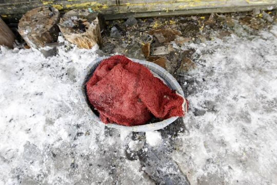 Gyvūnų prieglaudoje "5 pėdutės" įtariamas padegimas 