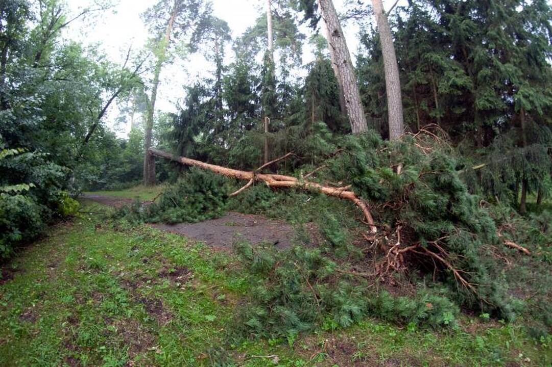 Elektros dar neturi apie 3 tūkst. vartotojų (dar atnaujinta)
