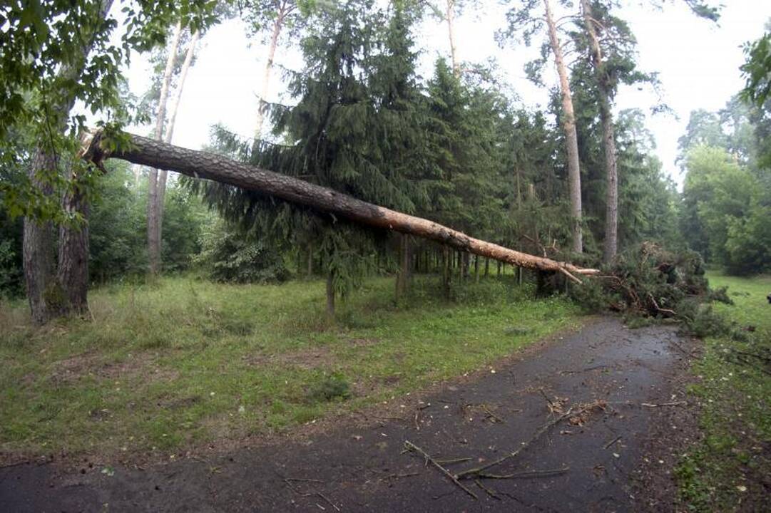 Elektros dar neturi apie 3 tūkst. vartotojų (dar atnaujinta)