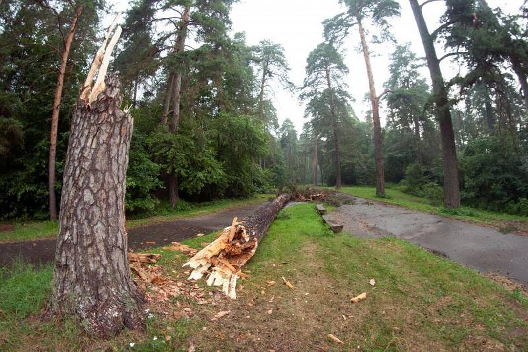 Elektros dar neturi apie 3 tūkst. vartotojų (dar atnaujinta)
