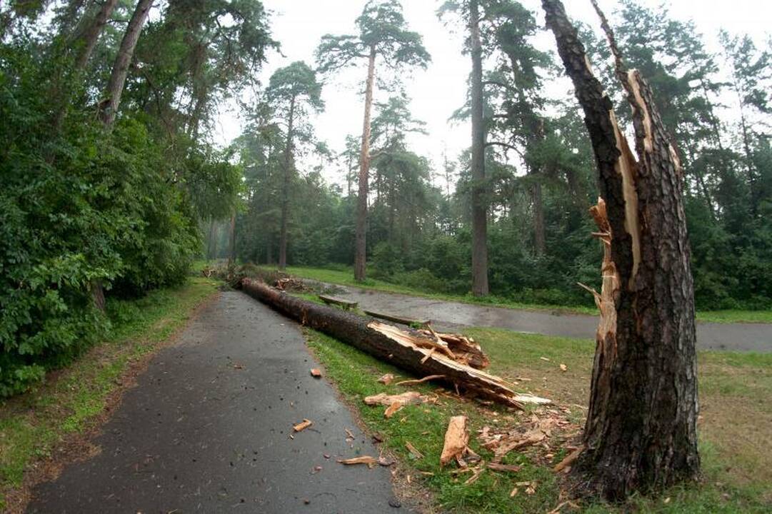 Elektros dar neturi apie 3 tūkst. vartotojų (dar atnaujinta)