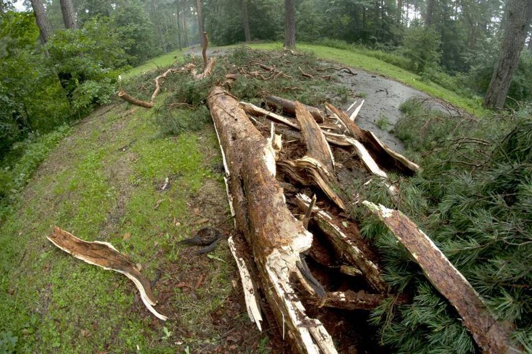 Elektros dar neturi apie 3 tūkst. vartotojų (dar atnaujinta)