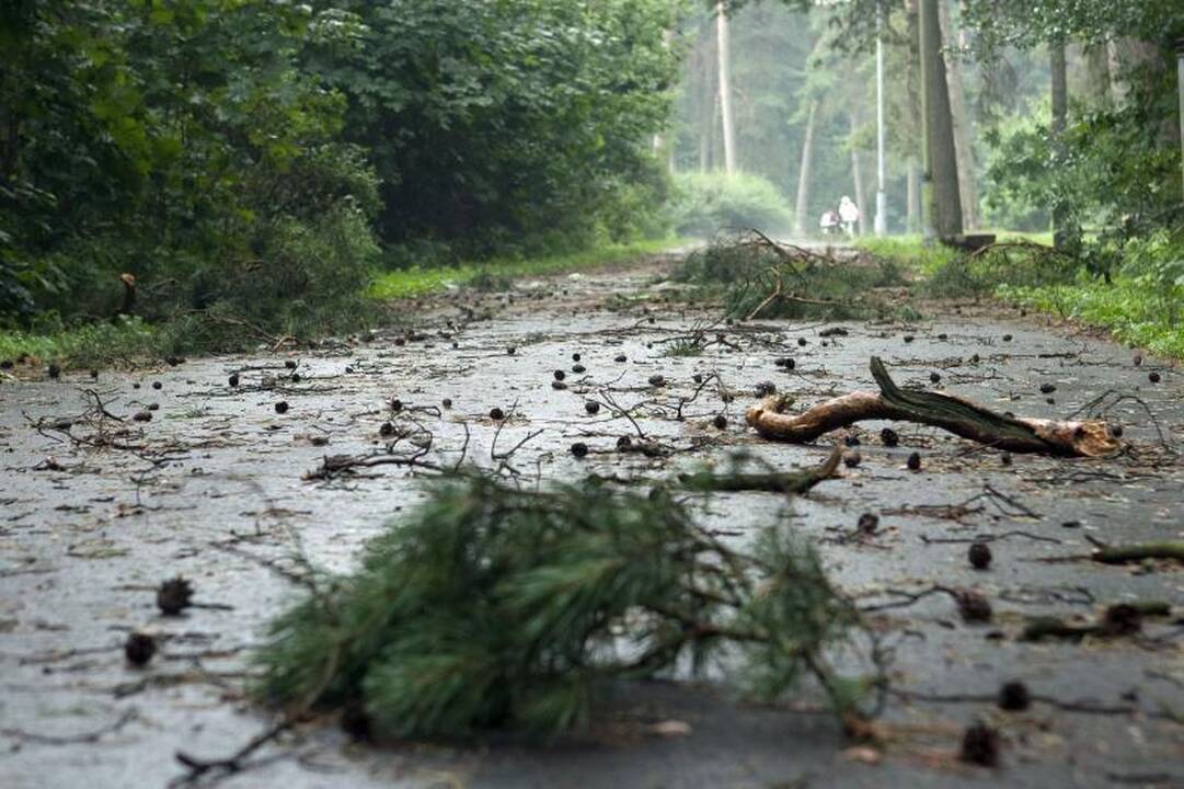Elektros dar neturi apie 3 tūkst. vartotojų (dar atnaujinta)