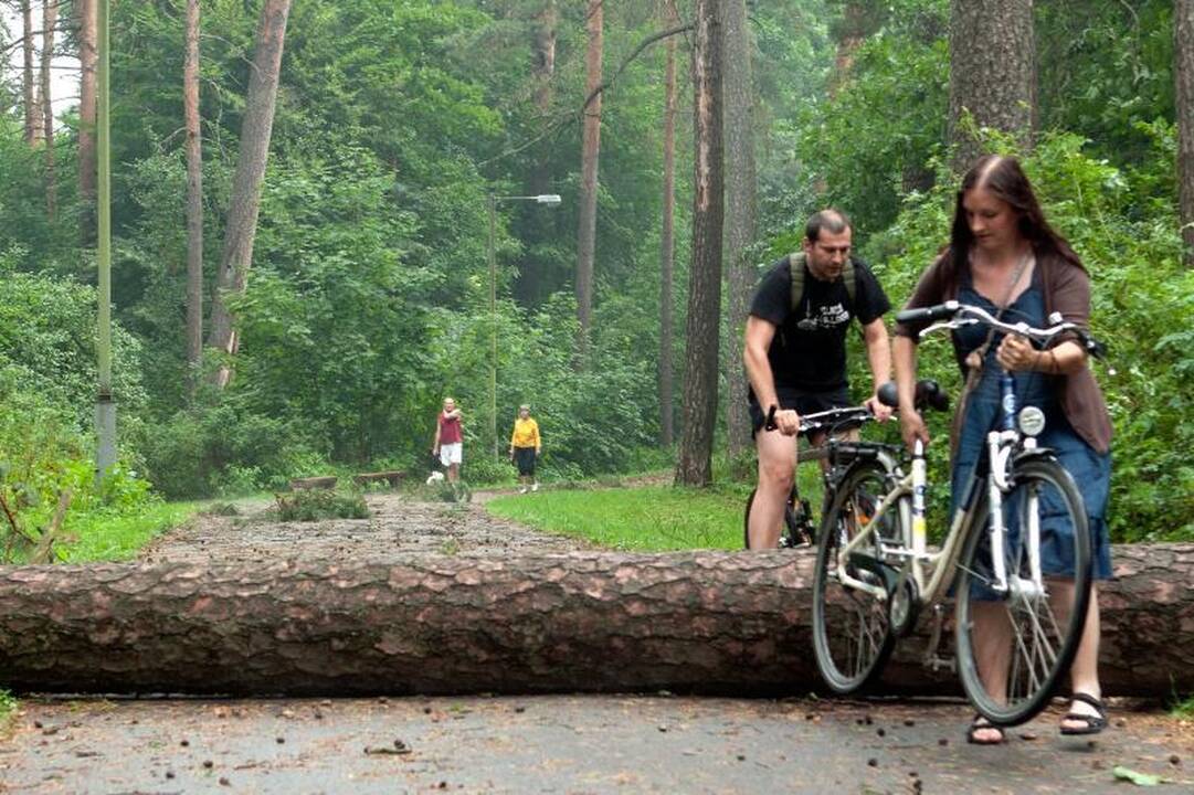 Elektros dar neturi apie 3 tūkst. vartotojų (dar atnaujinta)