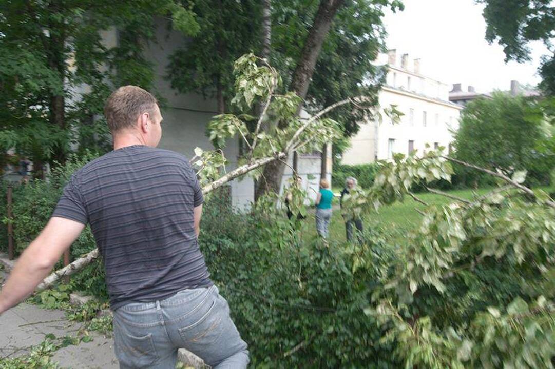 Elektros dar neturi apie 3 tūkst. vartotojų (dar atnaujinta)