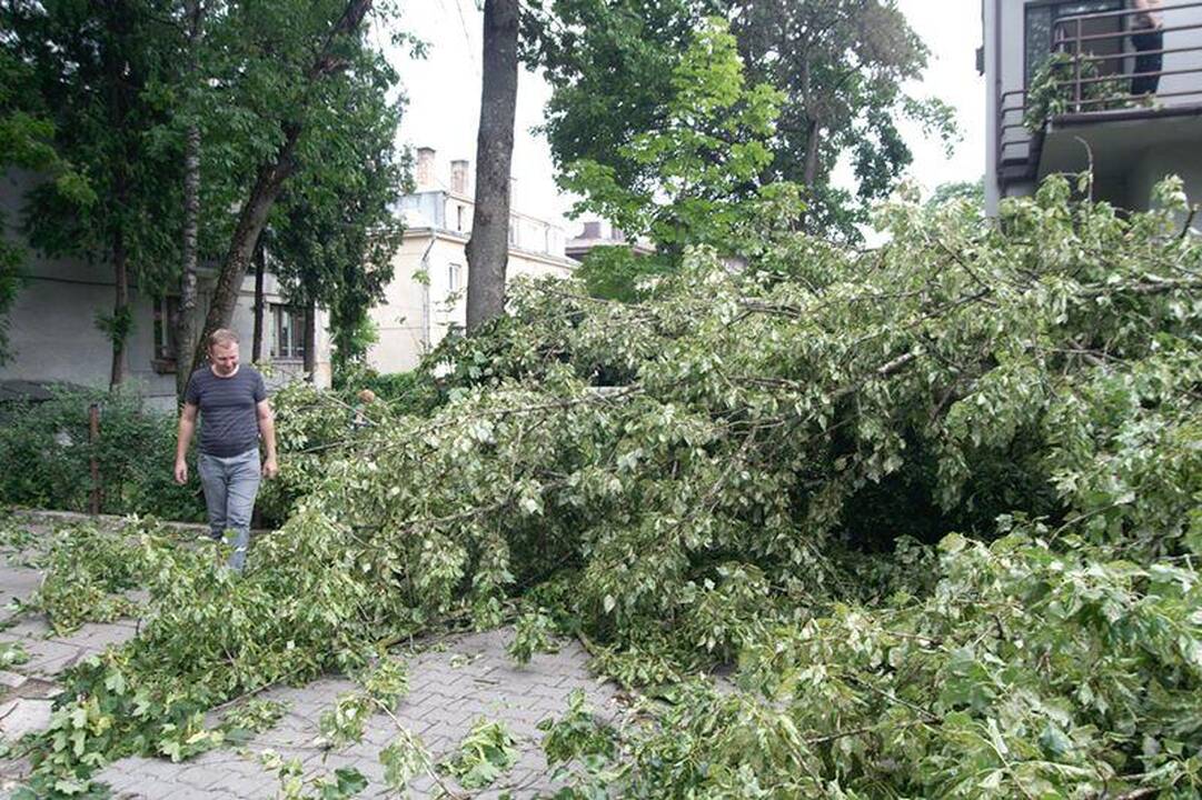 Elektros dar neturi apie 3 tūkst. vartotojų (dar atnaujinta)
