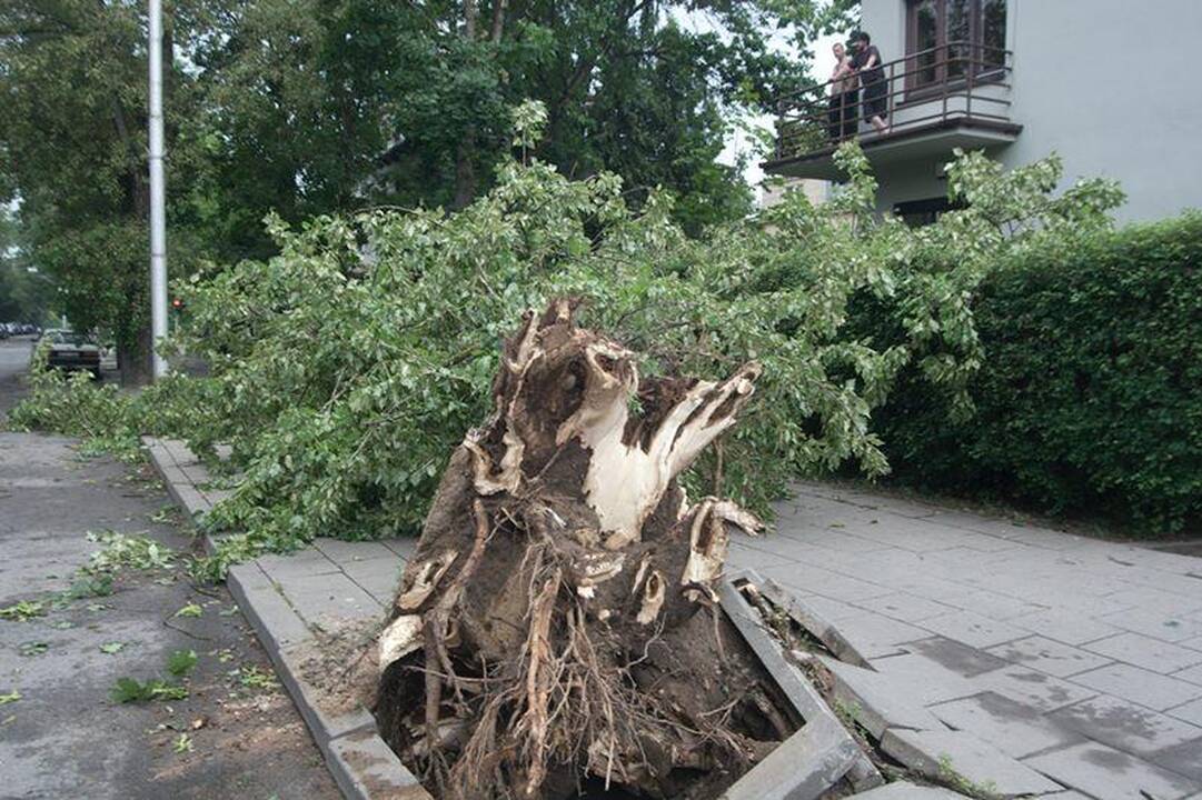 Elektros dar neturi apie 3 tūkst. vartotojų (dar atnaujinta)