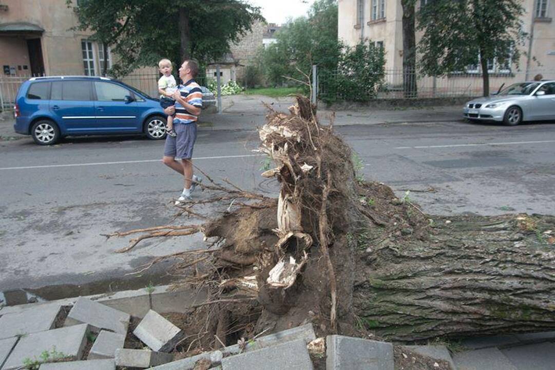 Elektros dar neturi apie 3 tūkst. vartotojų (dar atnaujinta)